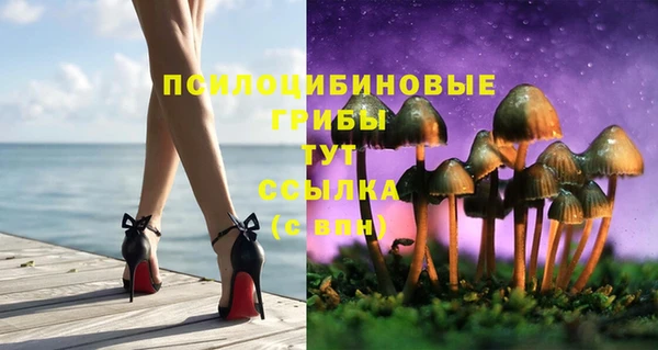 прущие грибы Абдулино