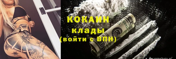 прущие грибы Абдулино