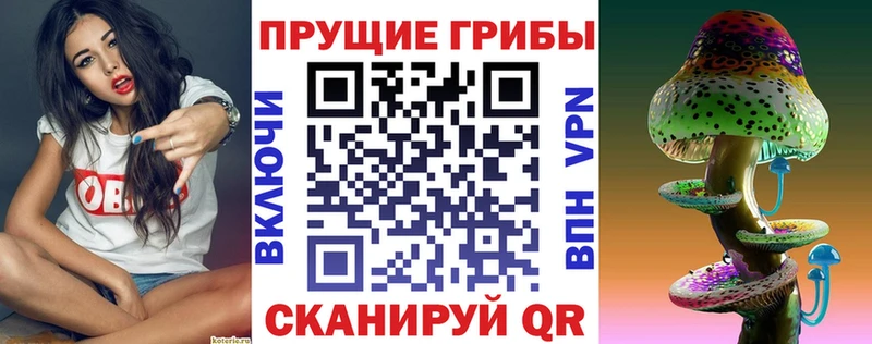 Псилоцибиновые грибы прущие грибы  mega вход  Новоаннинский 