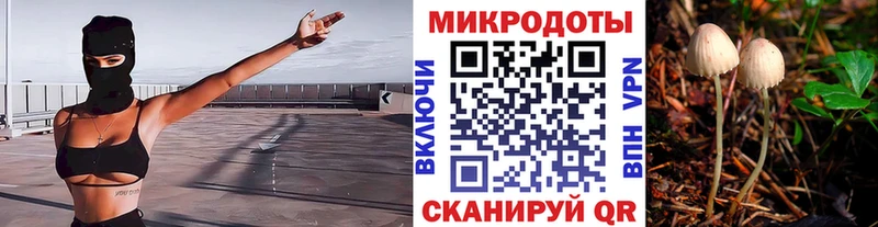 Псилоцибиновые грибы GOLDEN TEACHER Новоаннинский